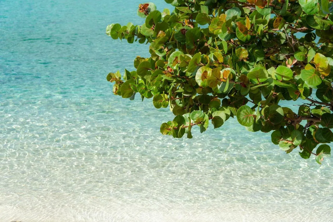 Grand Case Beach Club 4*, Grand Case